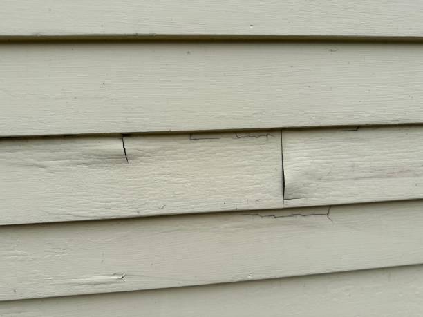 Best Engineered Wood Siding  in Clifton Gardens, NY